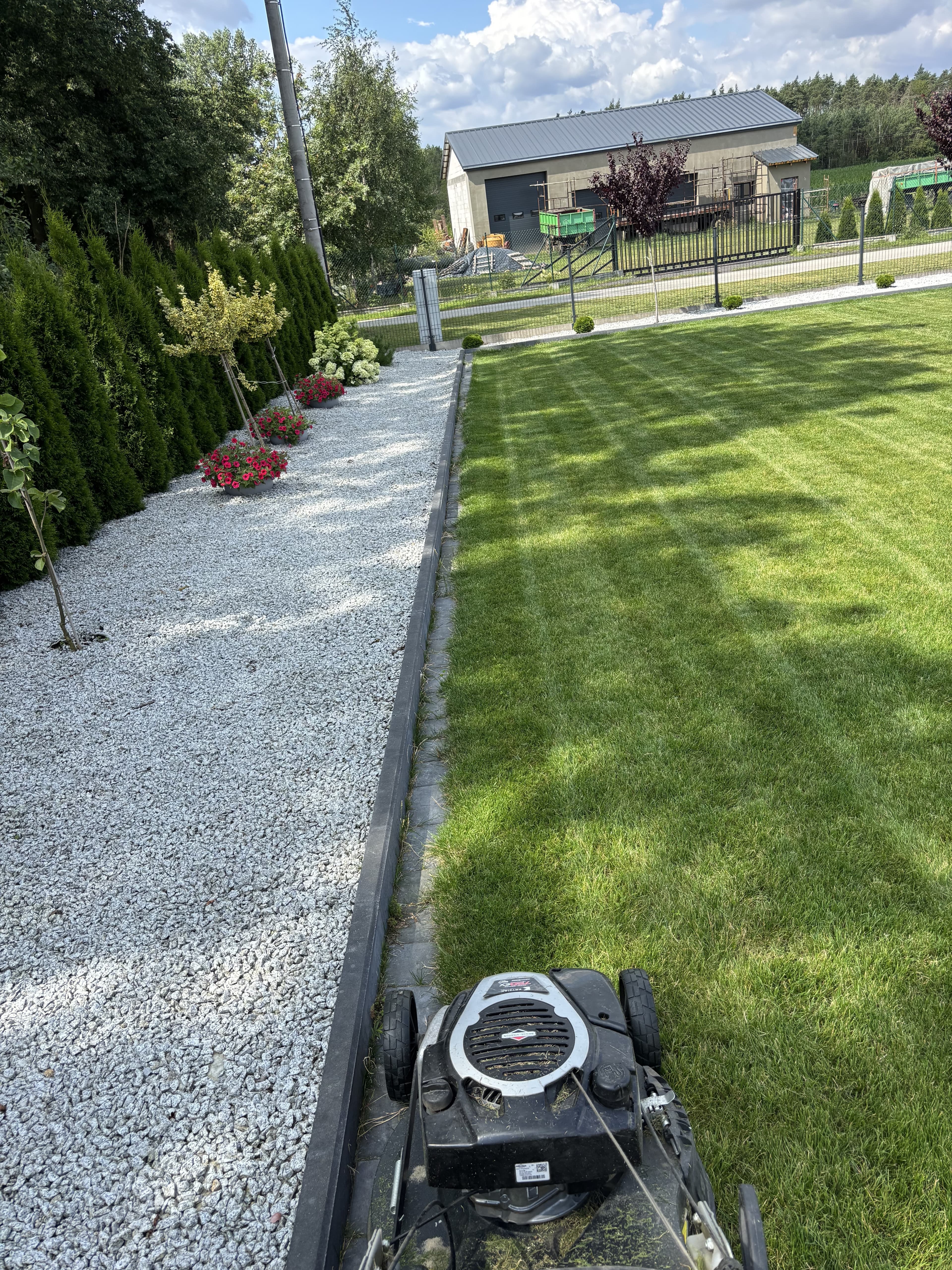 Mech OFF - skuteczny preparat na mech w trawniku i ogrodzie