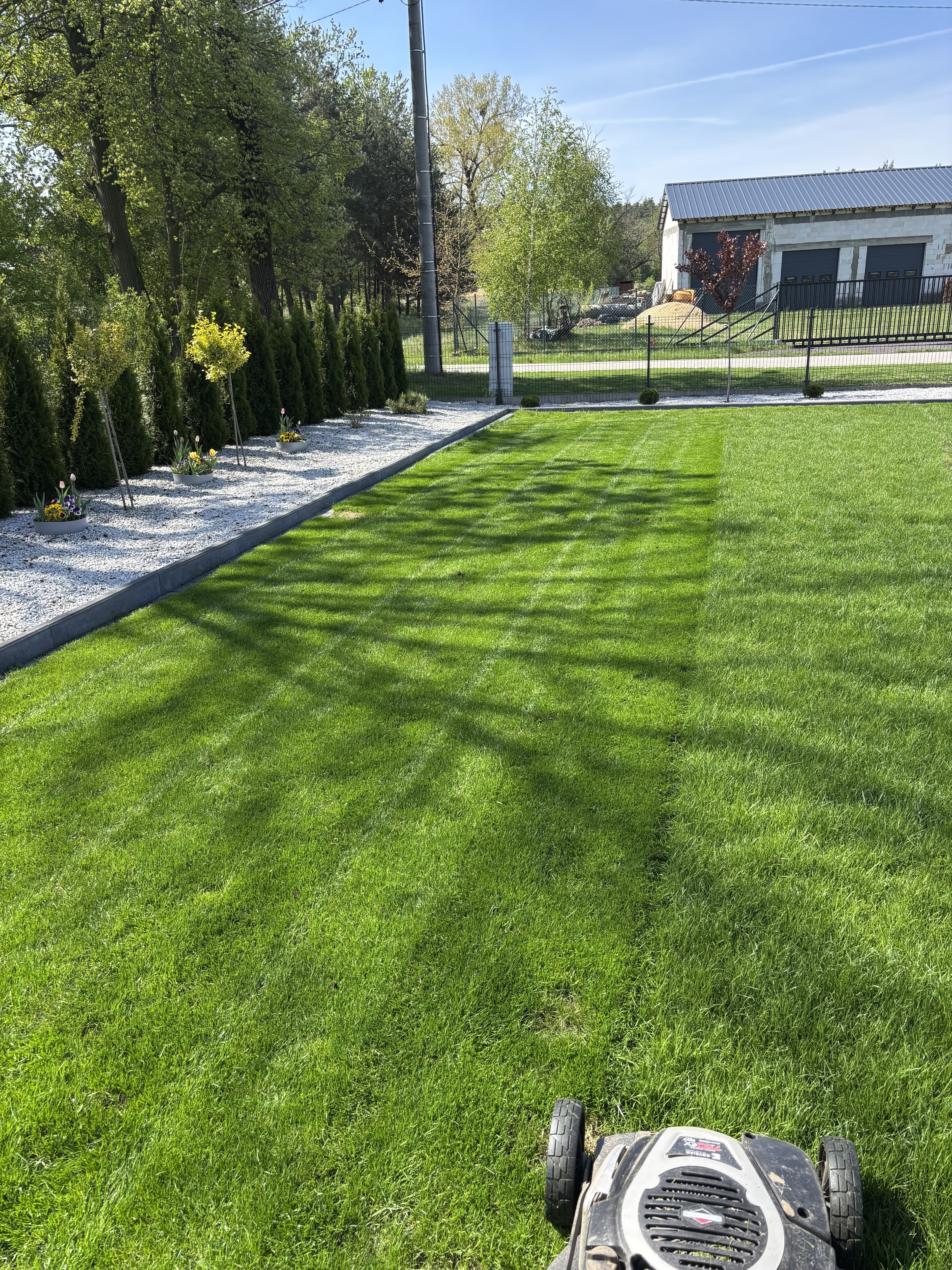 Mech OFF - skuteczny preparat na mech w trawniku i ogrodzie