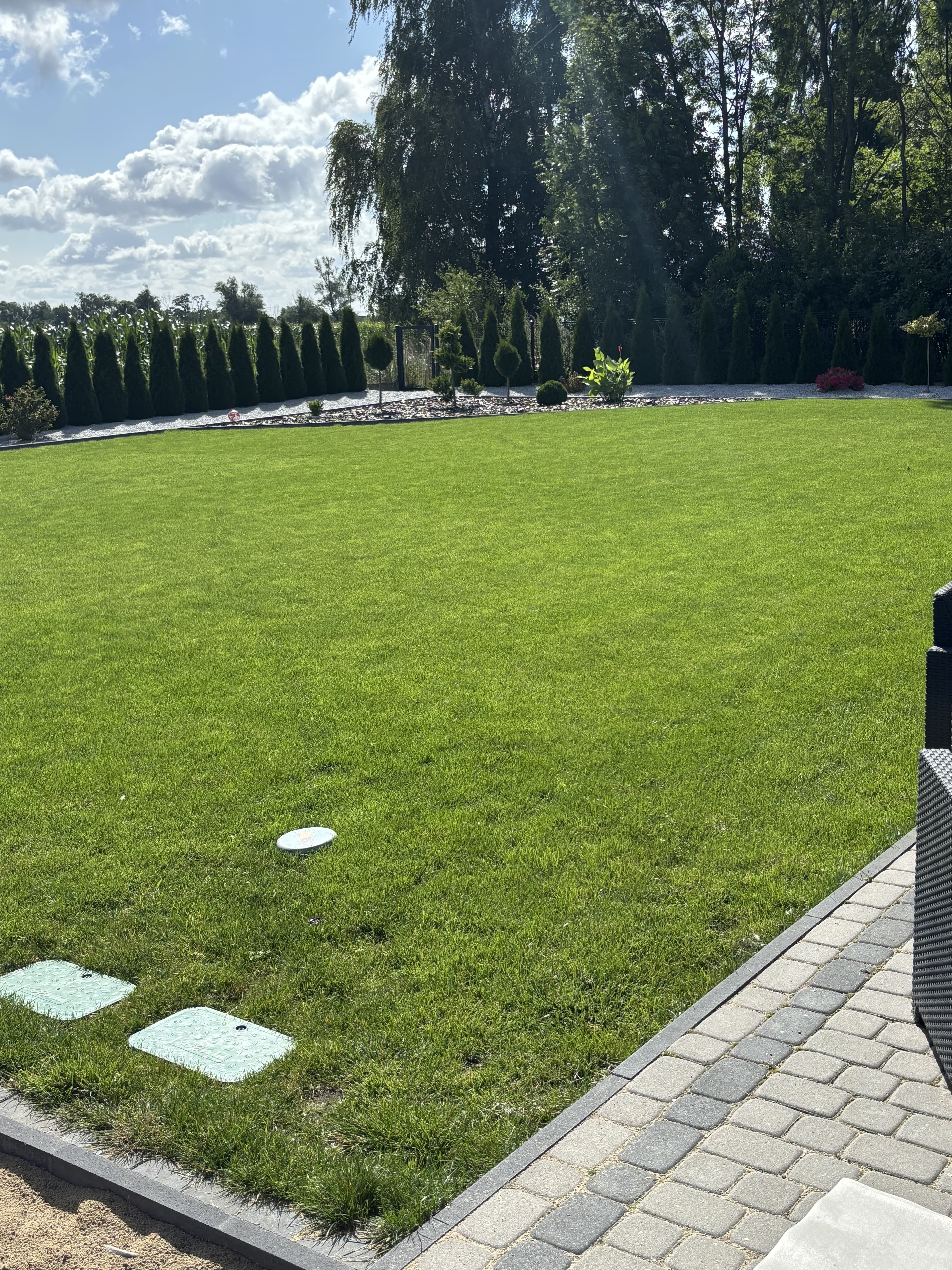 Mech OFF - skuteczny preparat na mech w trawniku i ogrodzie