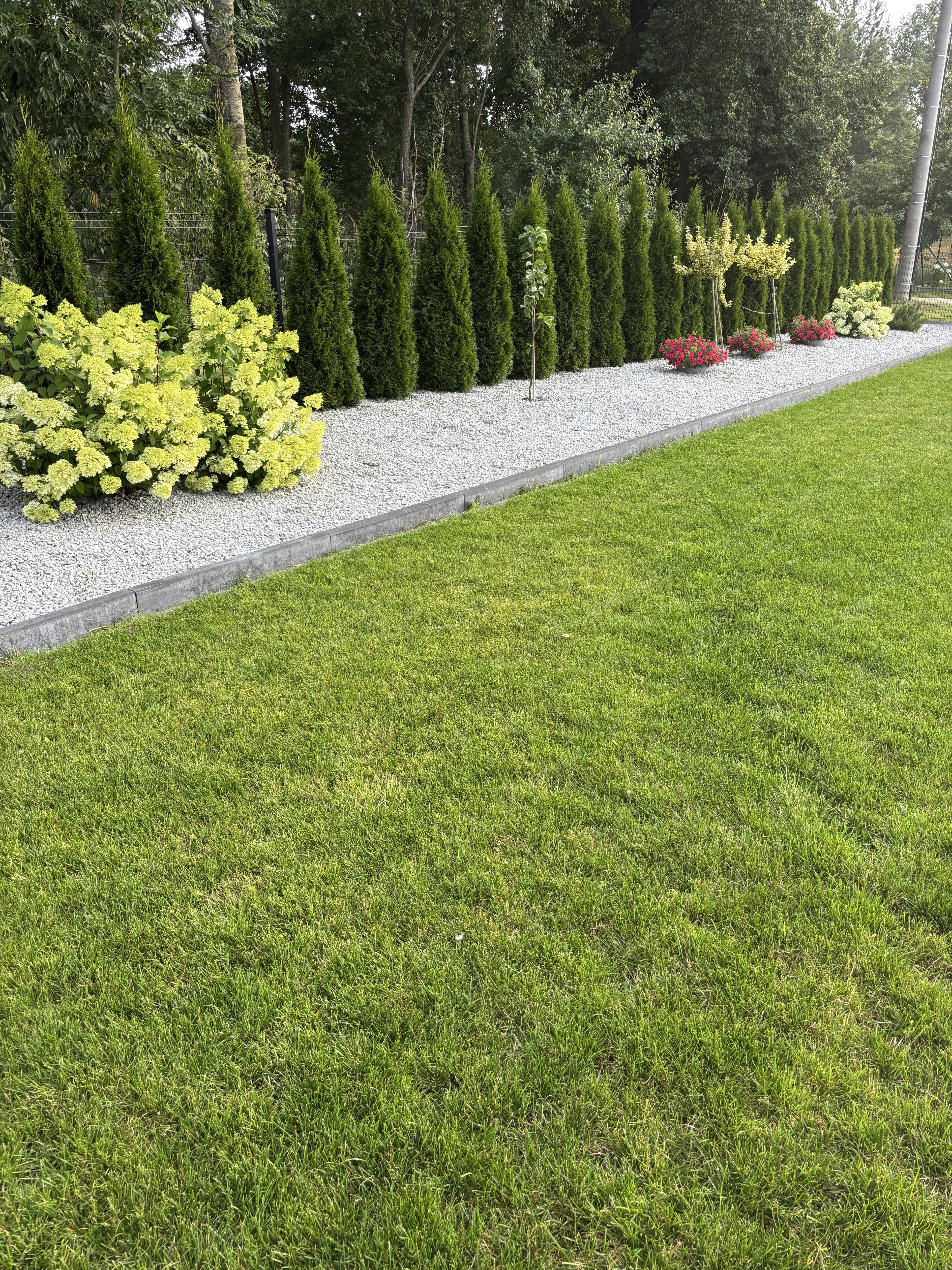 Ziemiórki OFF – szybkie i skuteczne zwalczanie ziemiórek