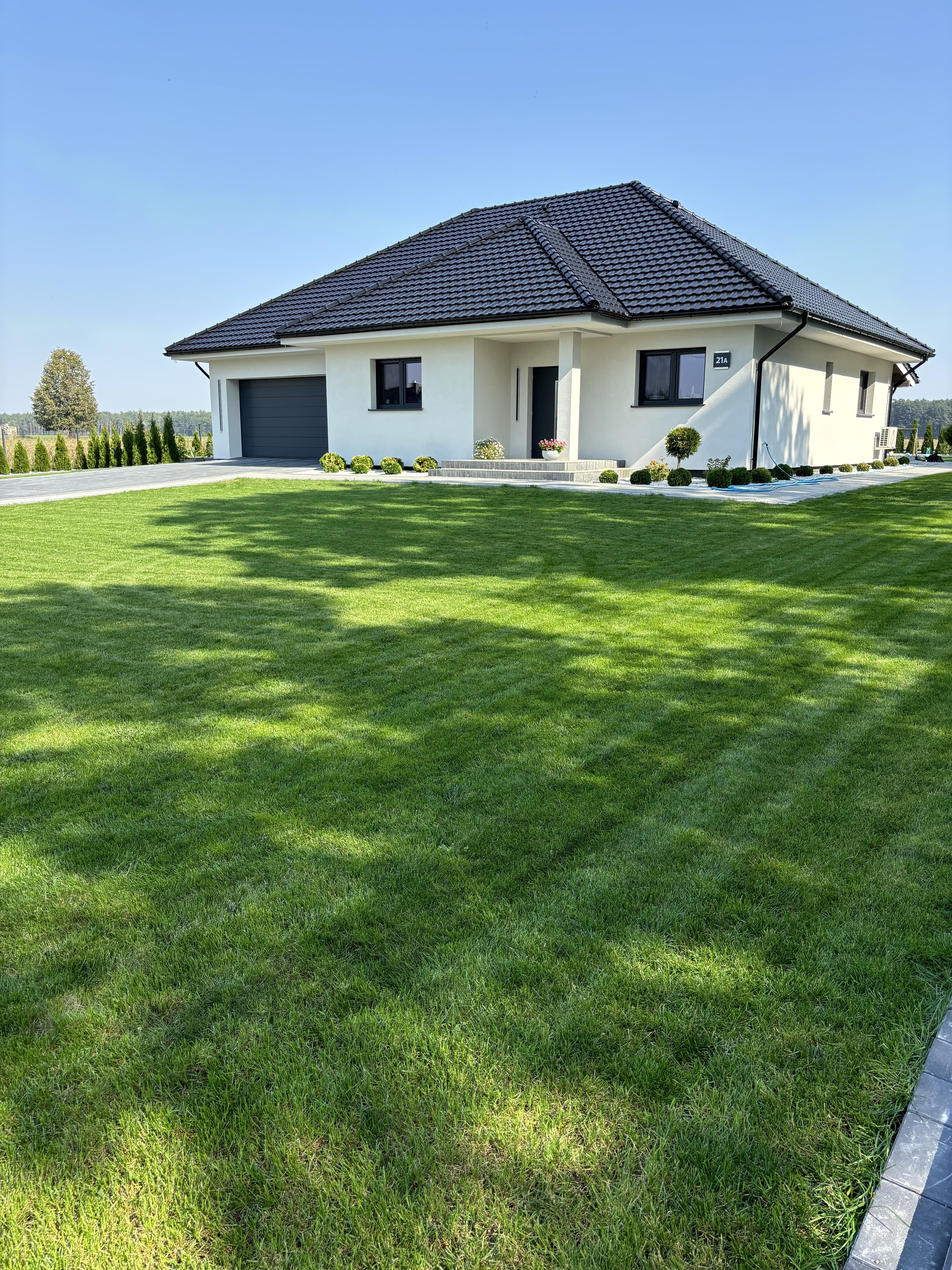 Mech OFF - skuteczny preparat na mech w trawniku i ogrodzie