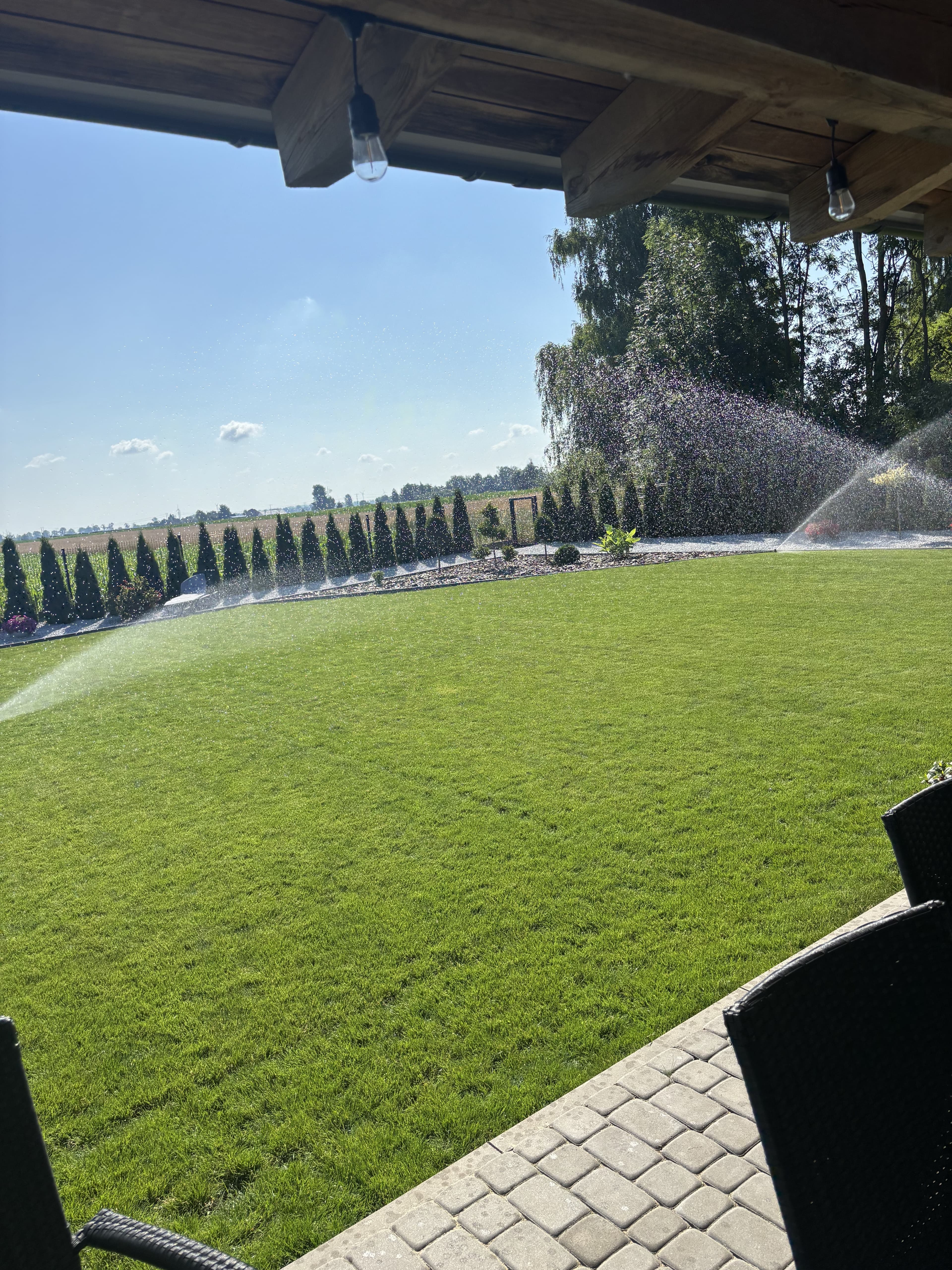 Mech OFF - skuteczny preparat na mech w trawniku i ogrodzie