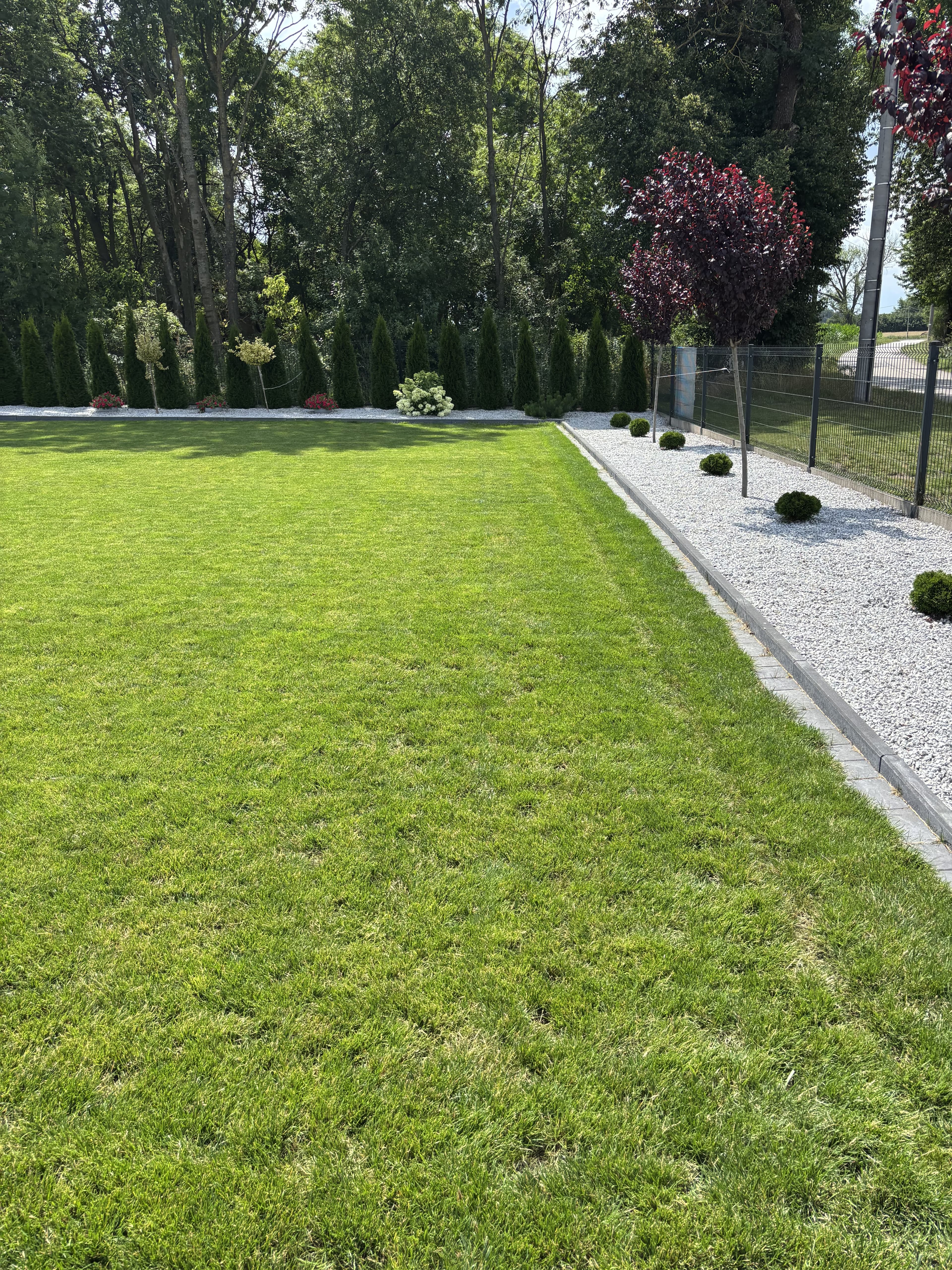 Mech OFF - skuteczny preparat na mech w trawniku i ogrodzie