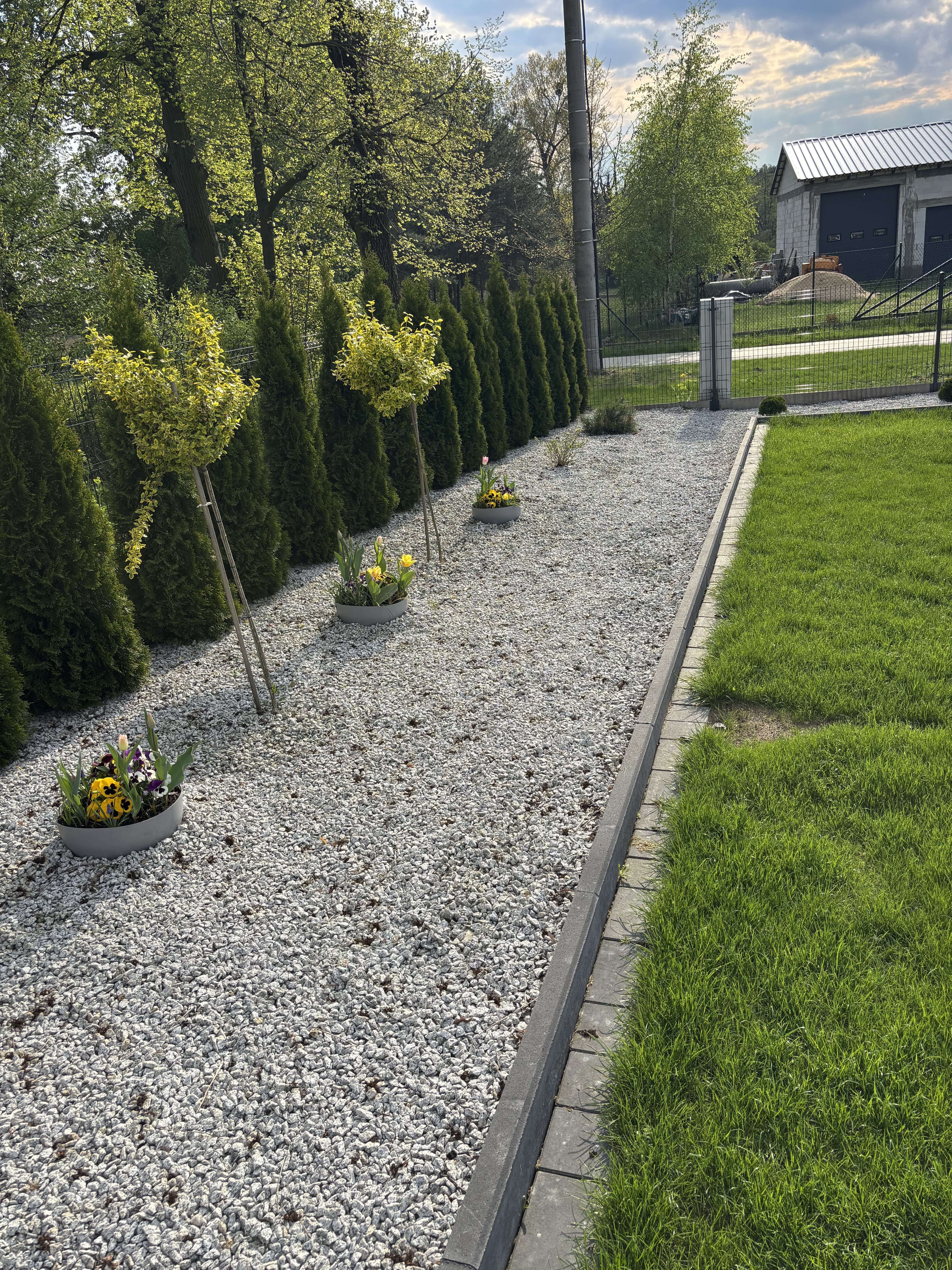 Ziemiórki OFF – szybkie i skuteczne zwalczanie ziemiórek