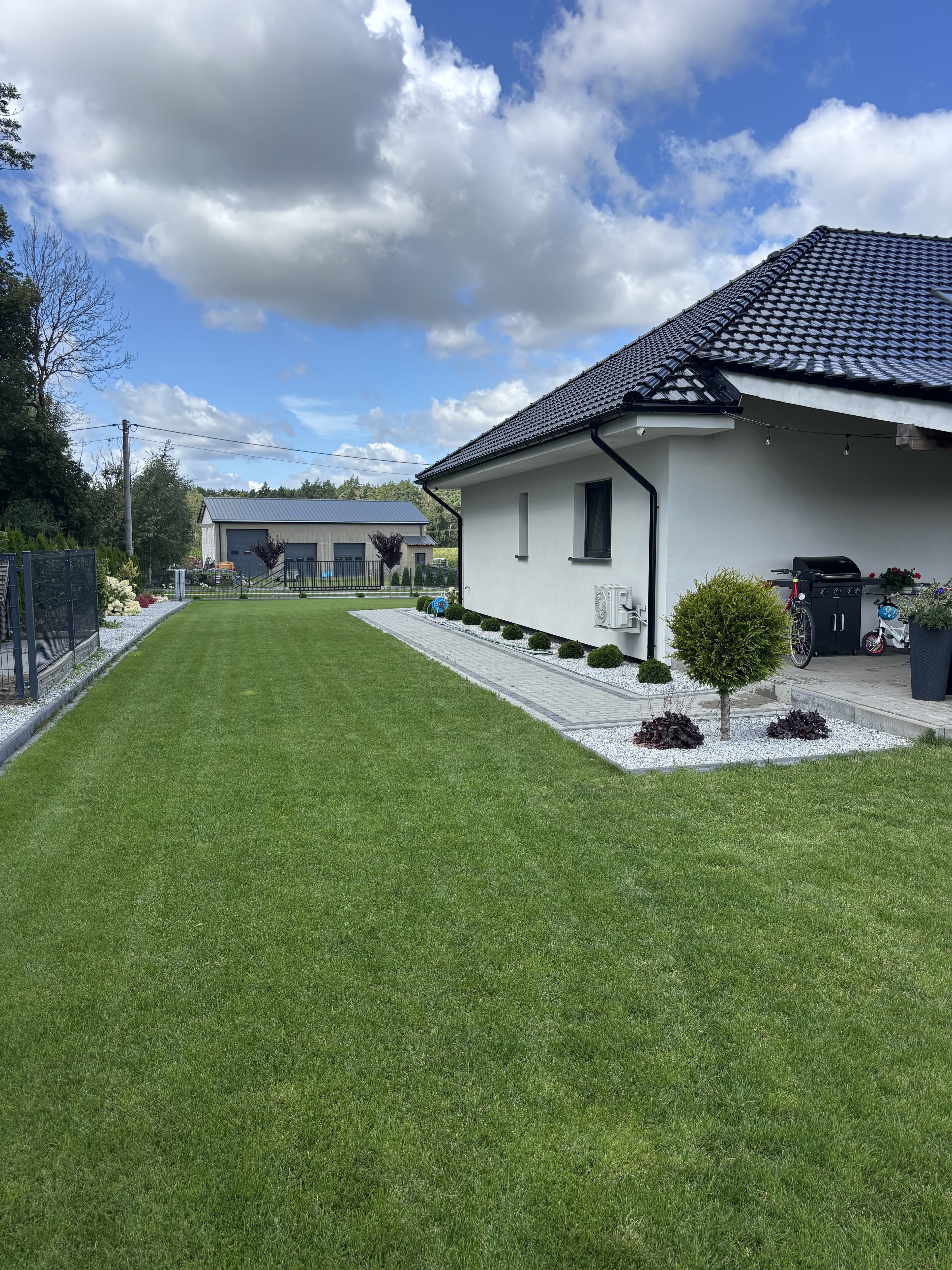 Mech OFF - skuteczny preparat na mech w trawniku i ogrodzie