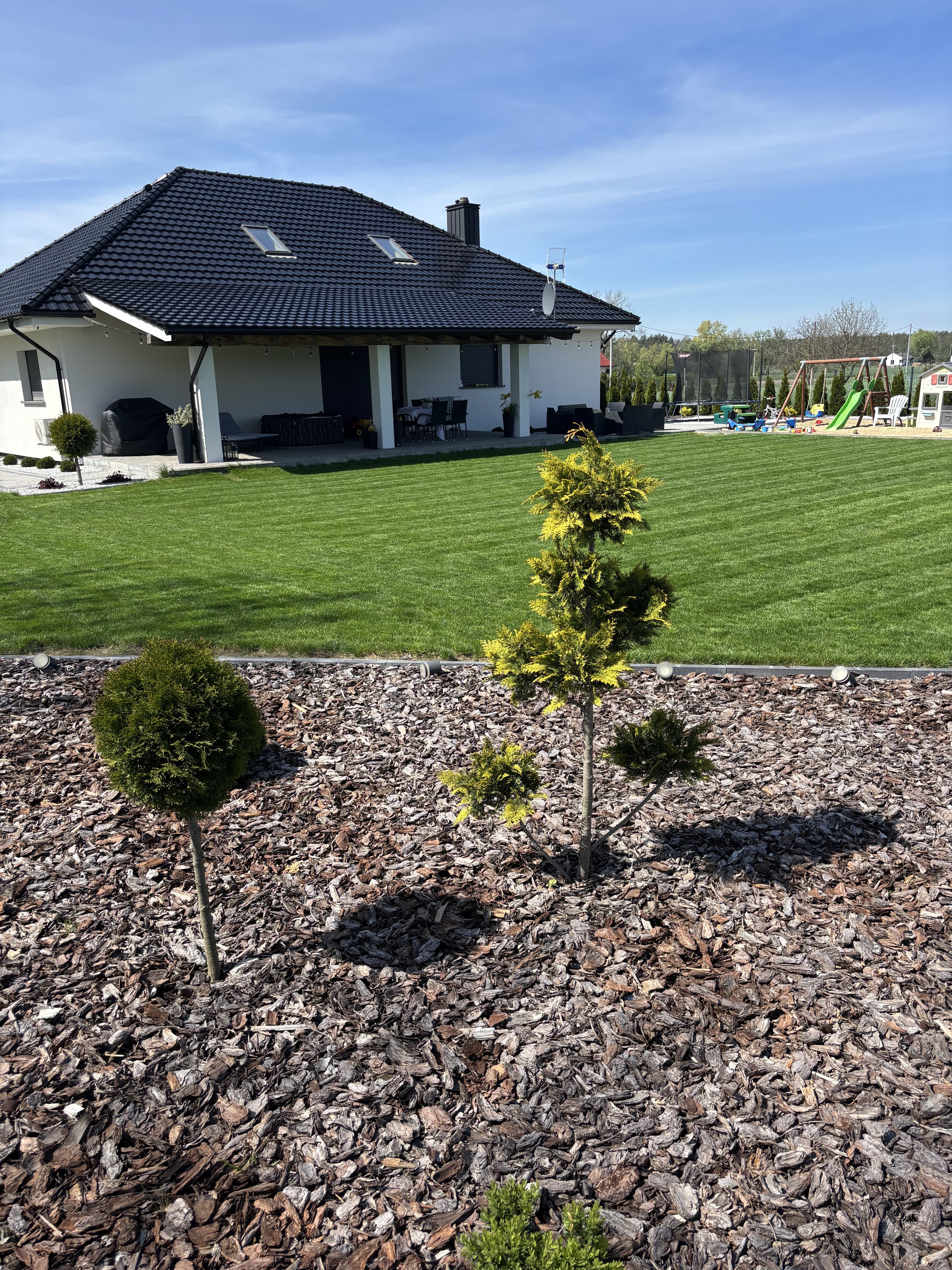 Ziemiórki OFF – szybkie i skuteczne zwalczanie ziemiórek