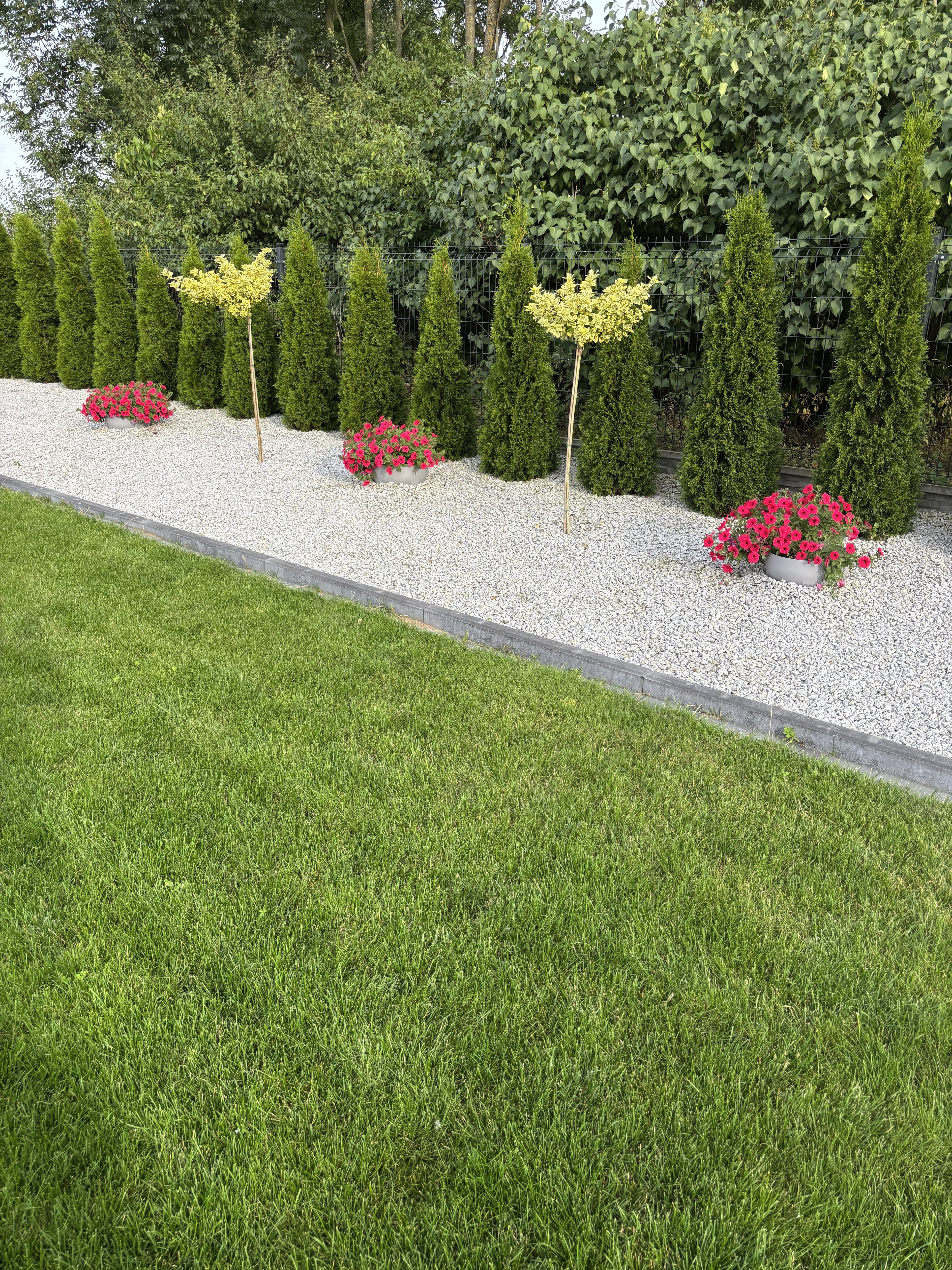 Ziemiórki OFF – szybkie i skuteczne zwalczanie ziemiórek