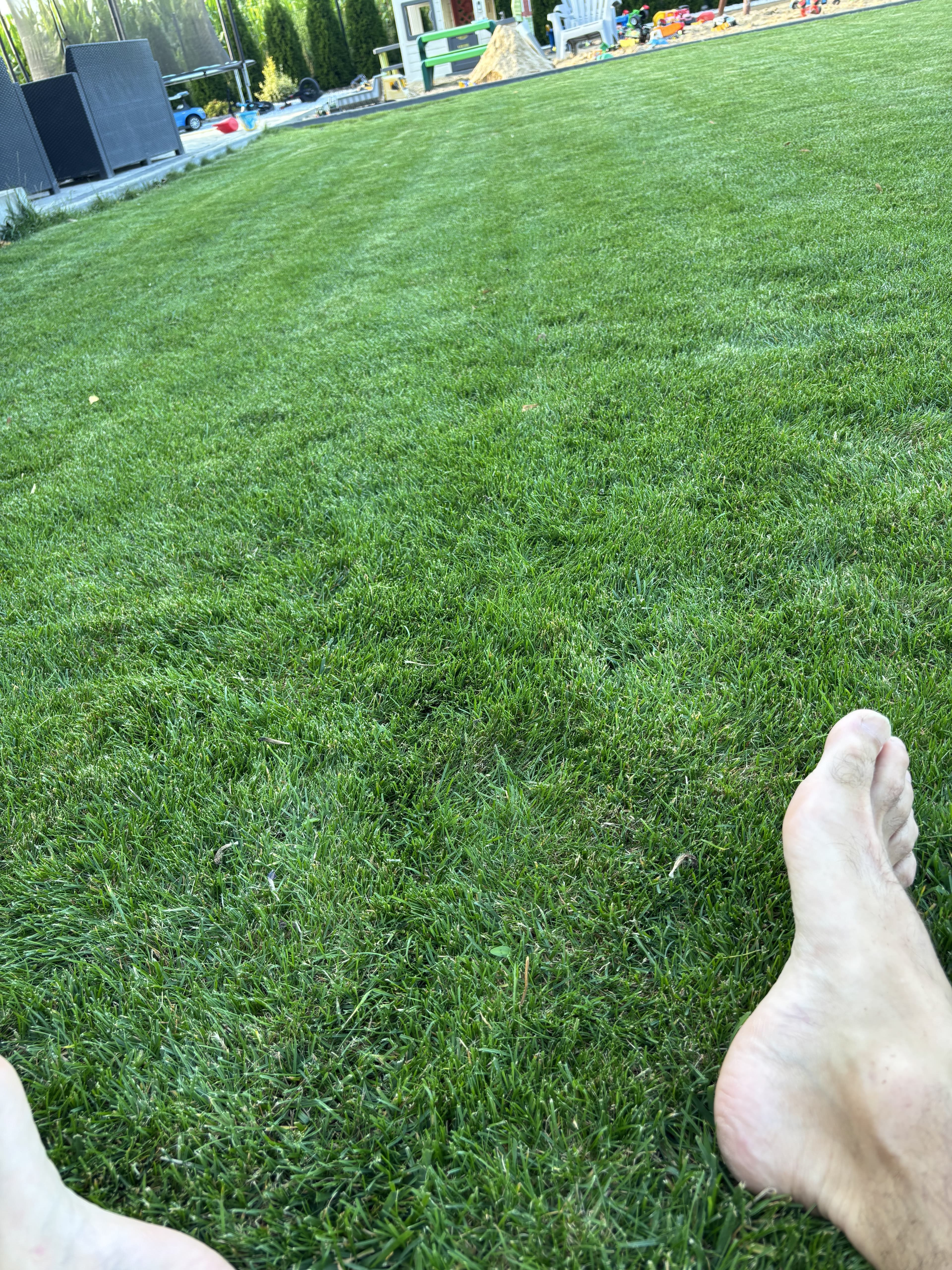 Mech OFF - skuteczny preparat na mech w trawniku i ogrodzie