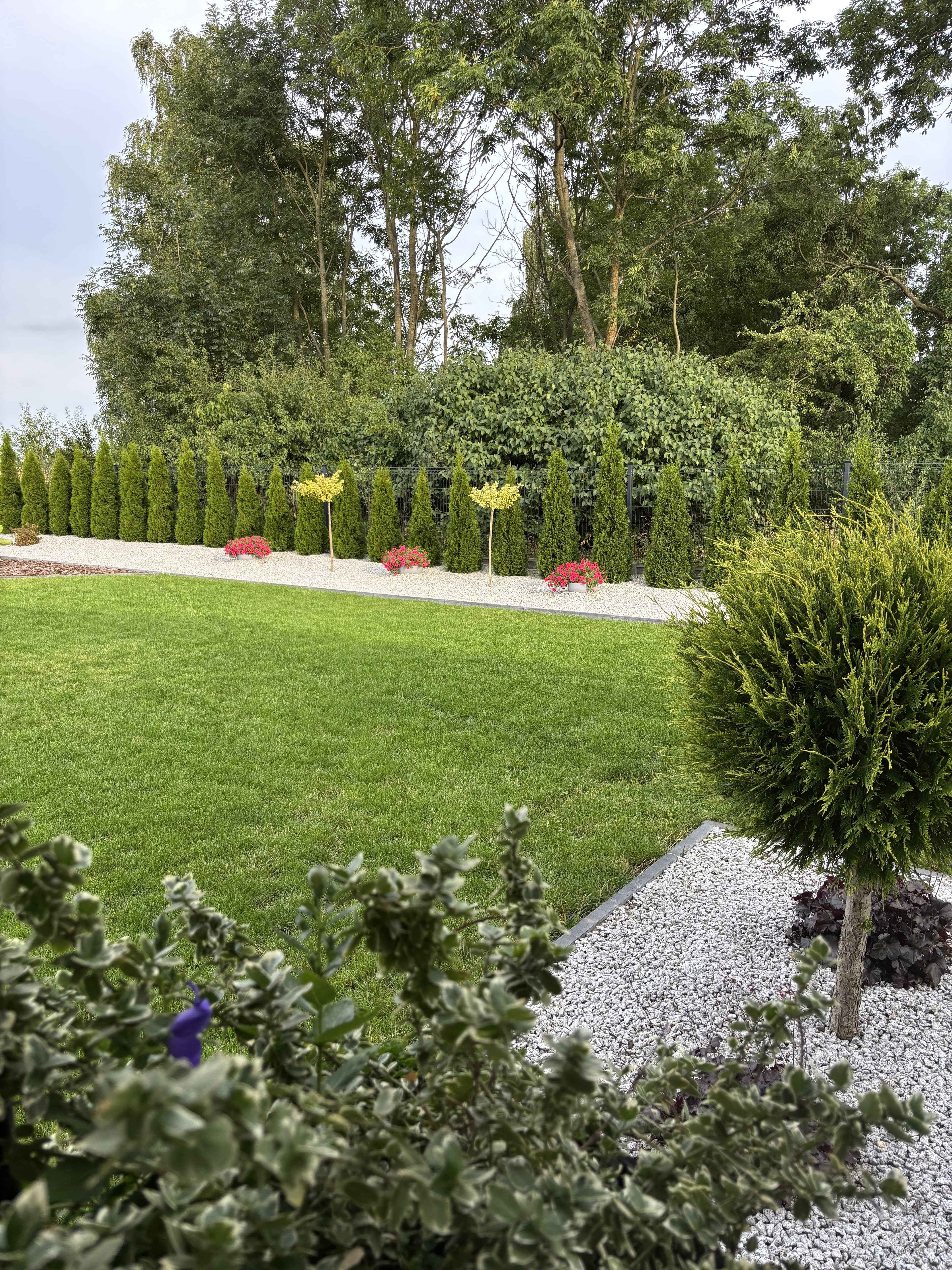 Mech OFF - skuteczny preparat na mech w trawniku i ogrodzie