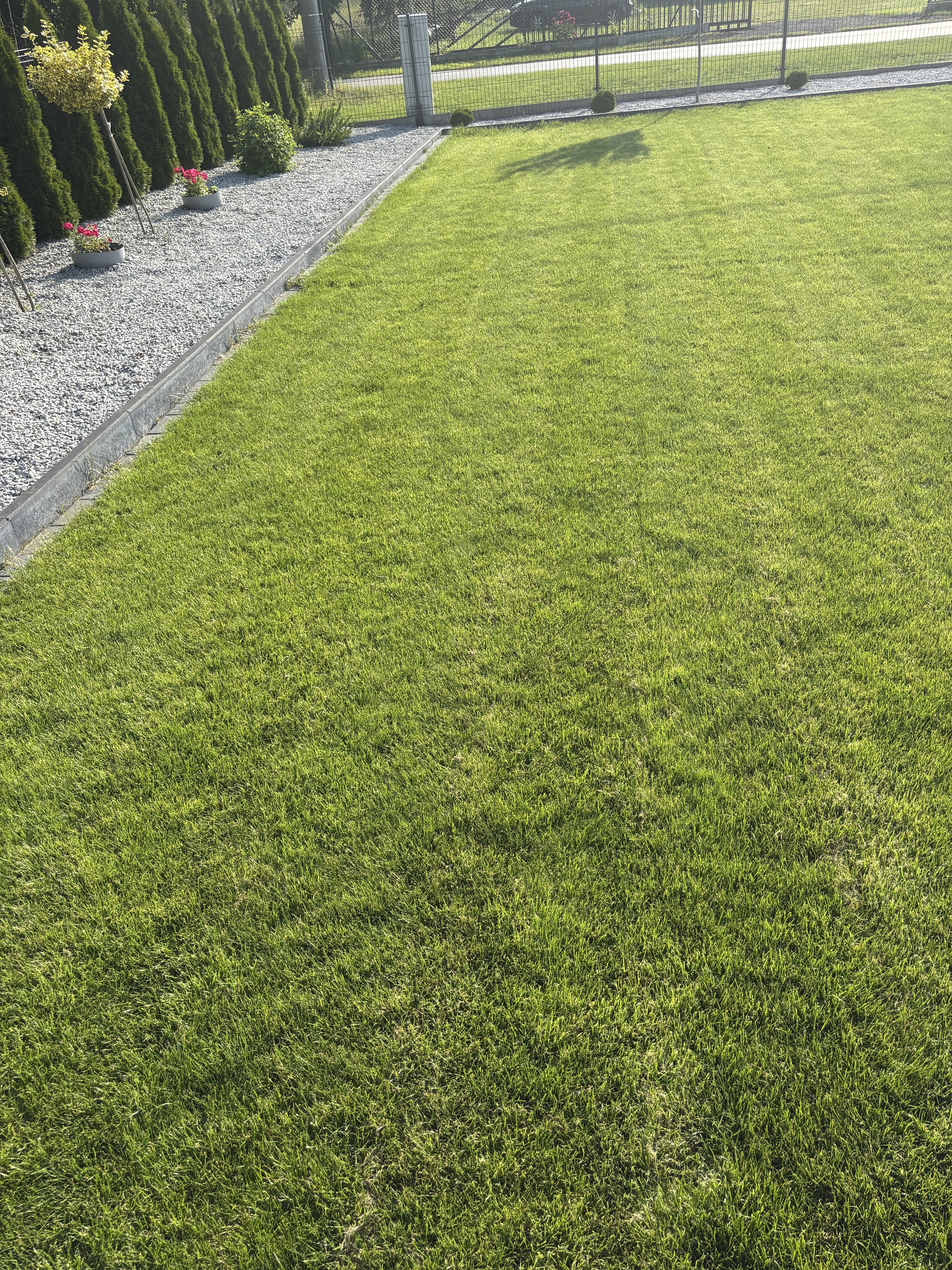 Mech OFF - skuteczny preparat na mech w trawniku i ogrodzie