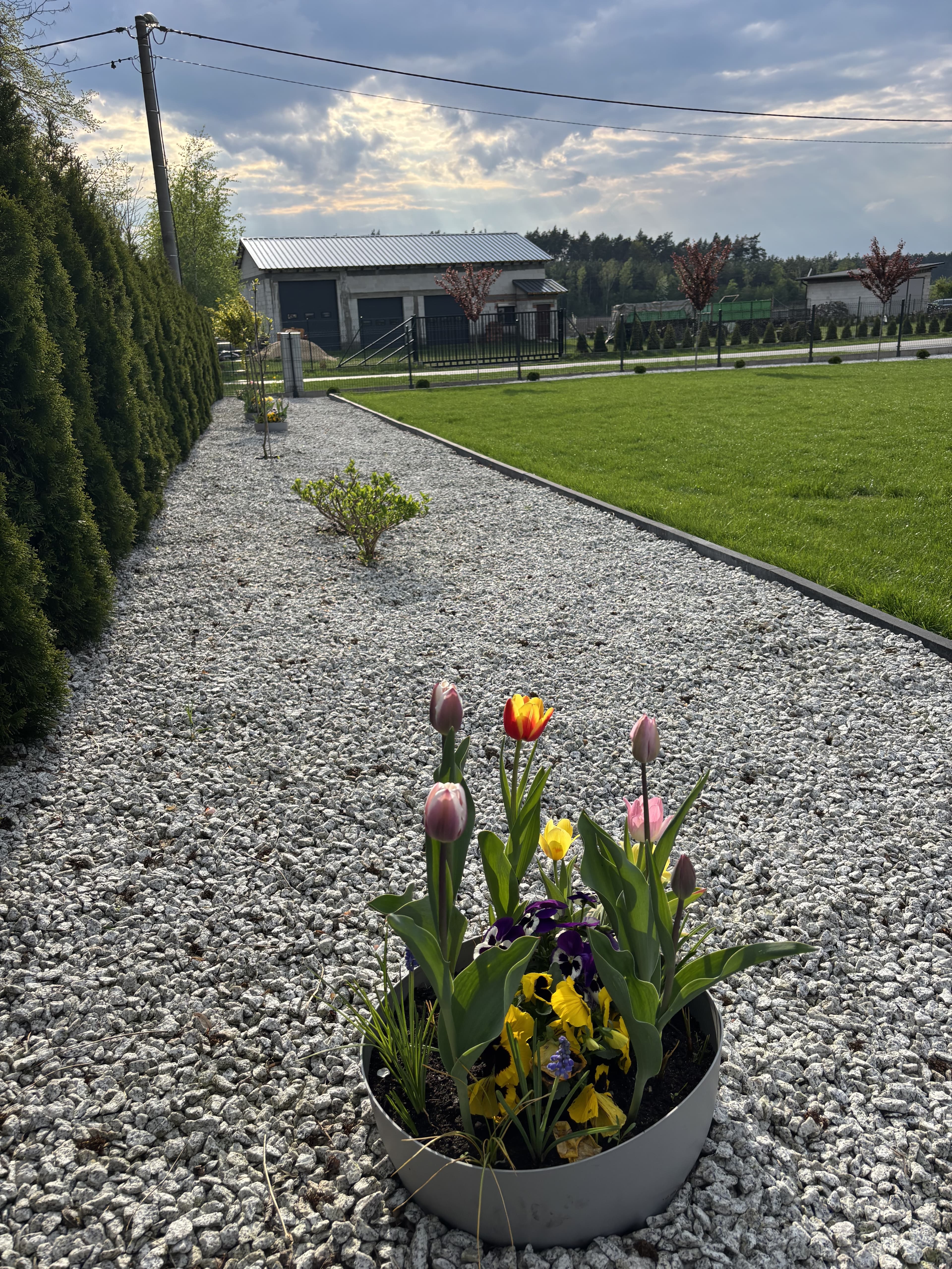 Ziemiórki OFF – szybkie i skuteczne zwalczanie ziemiórek