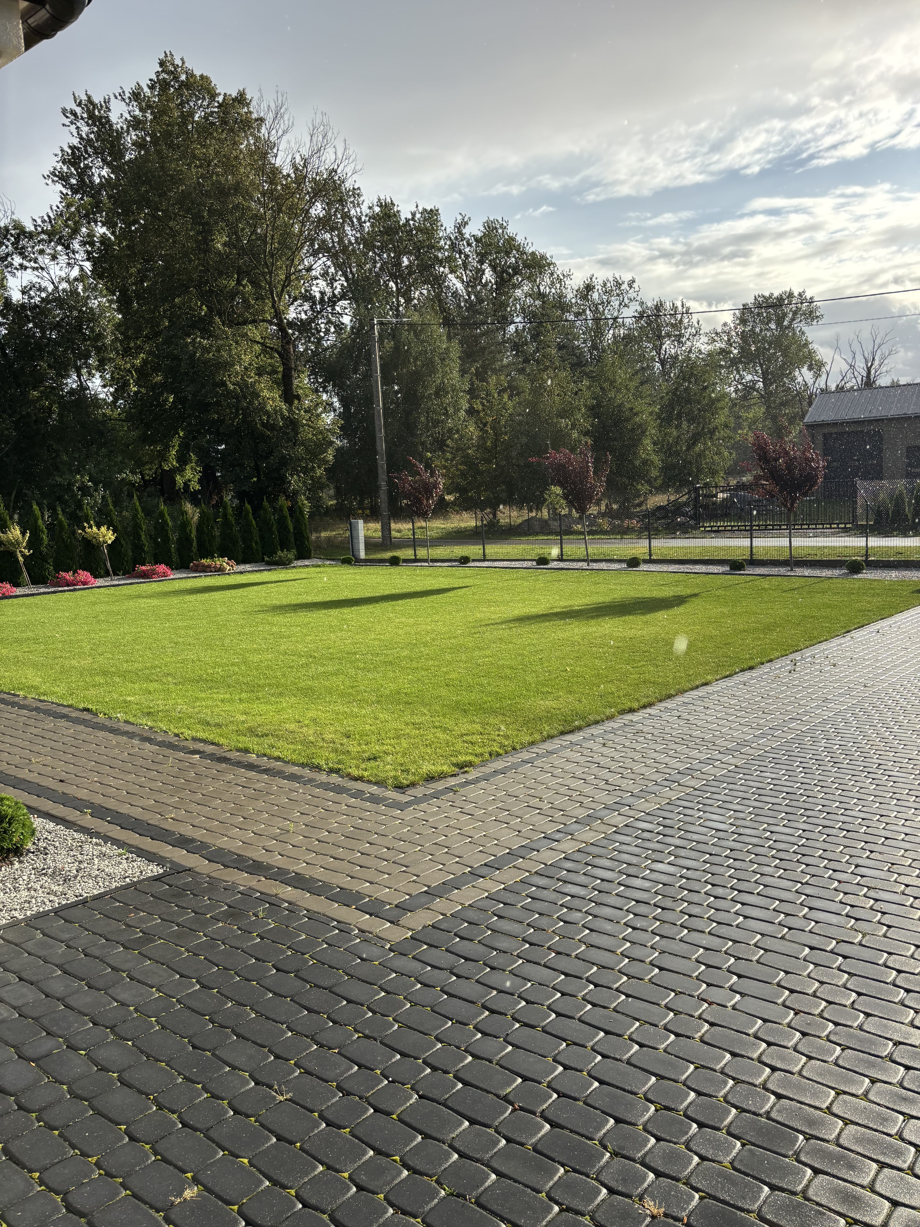 Mech OFF - skuteczny preparat na mech w trawniku i ogrodzie