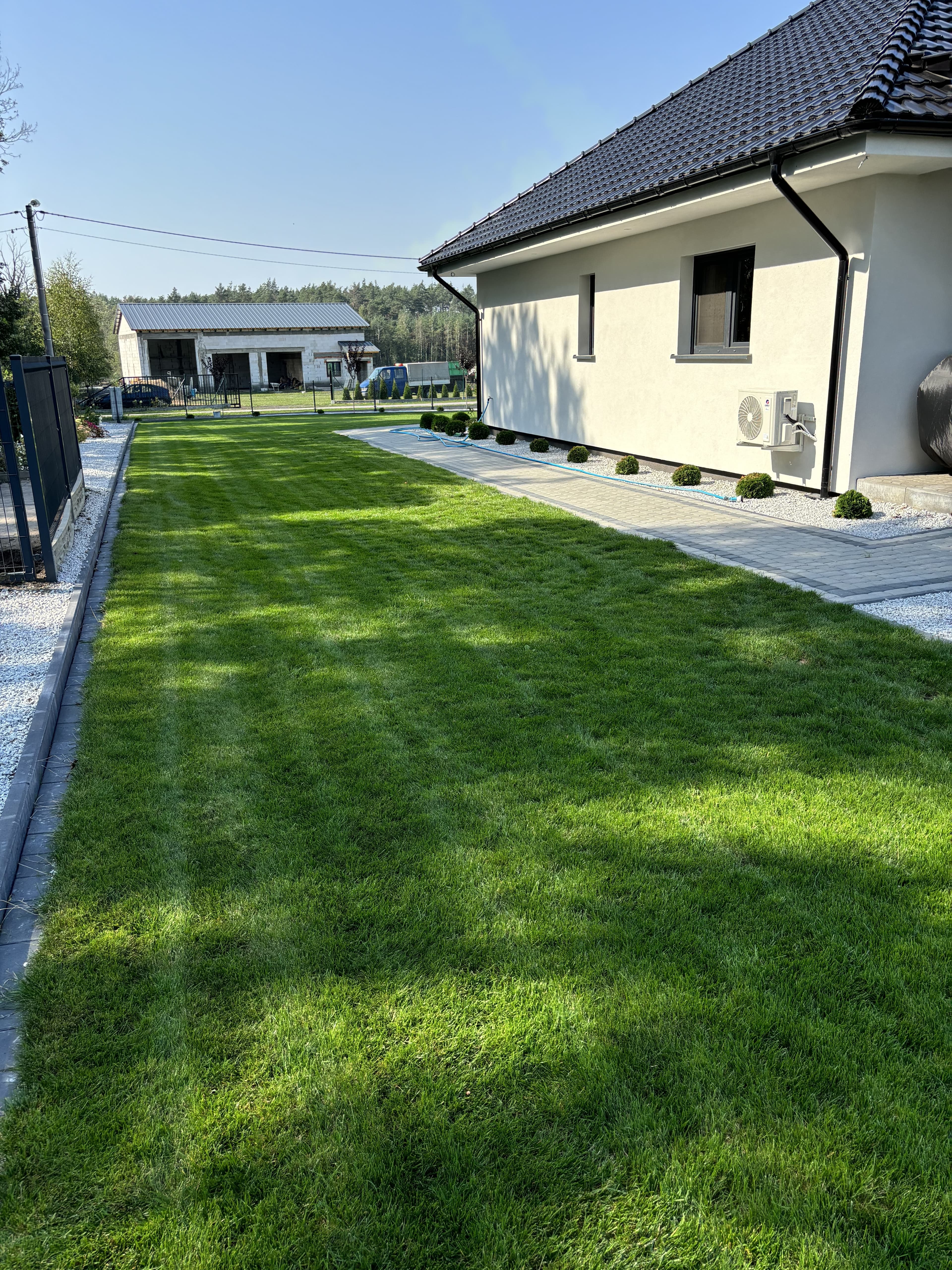 Mech OFF - skuteczny preparat na mech w trawniku i ogrodzie