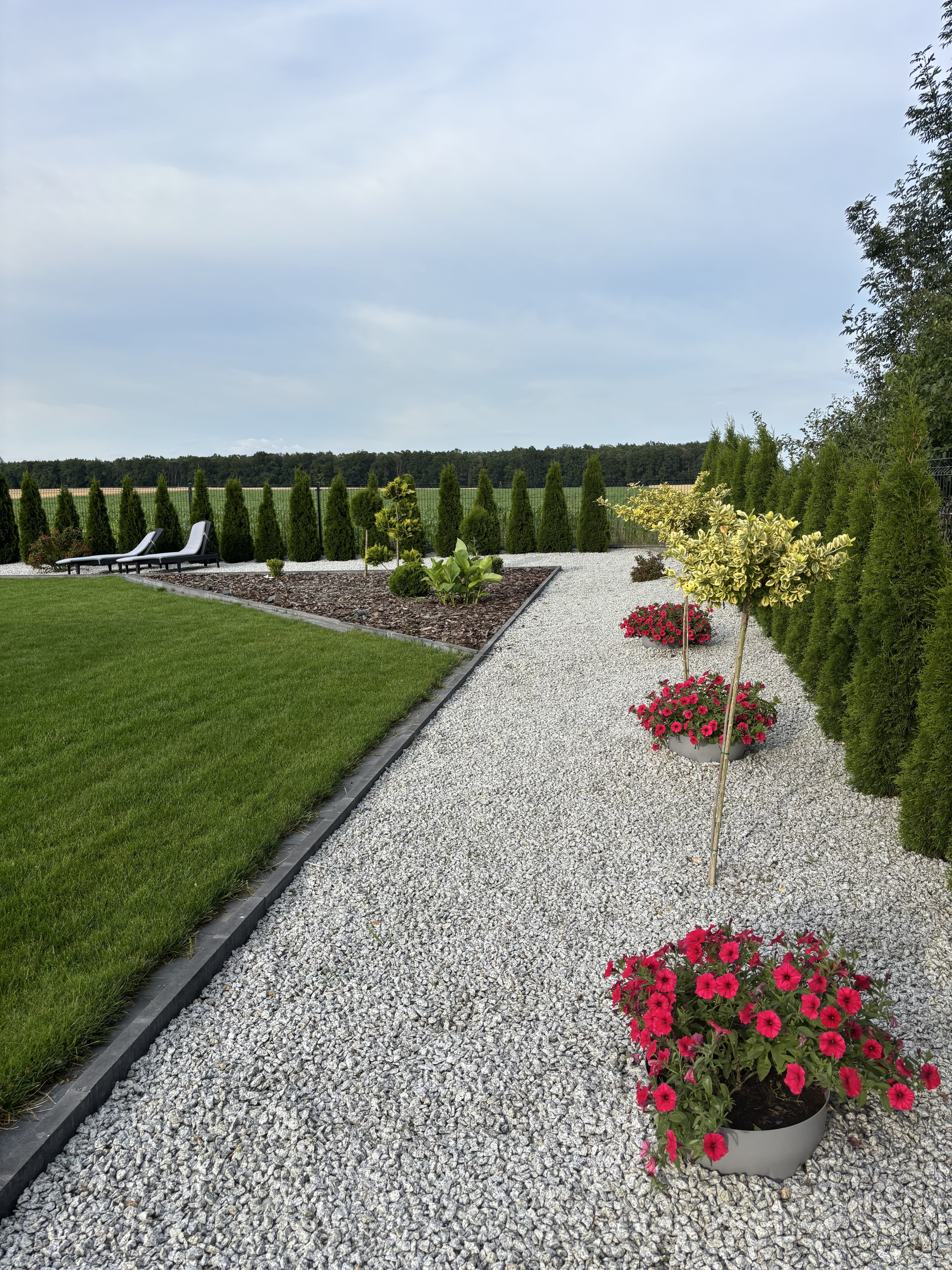 Ziemiórki OFF – szybkie i skuteczne zwalczanie ziemiórek