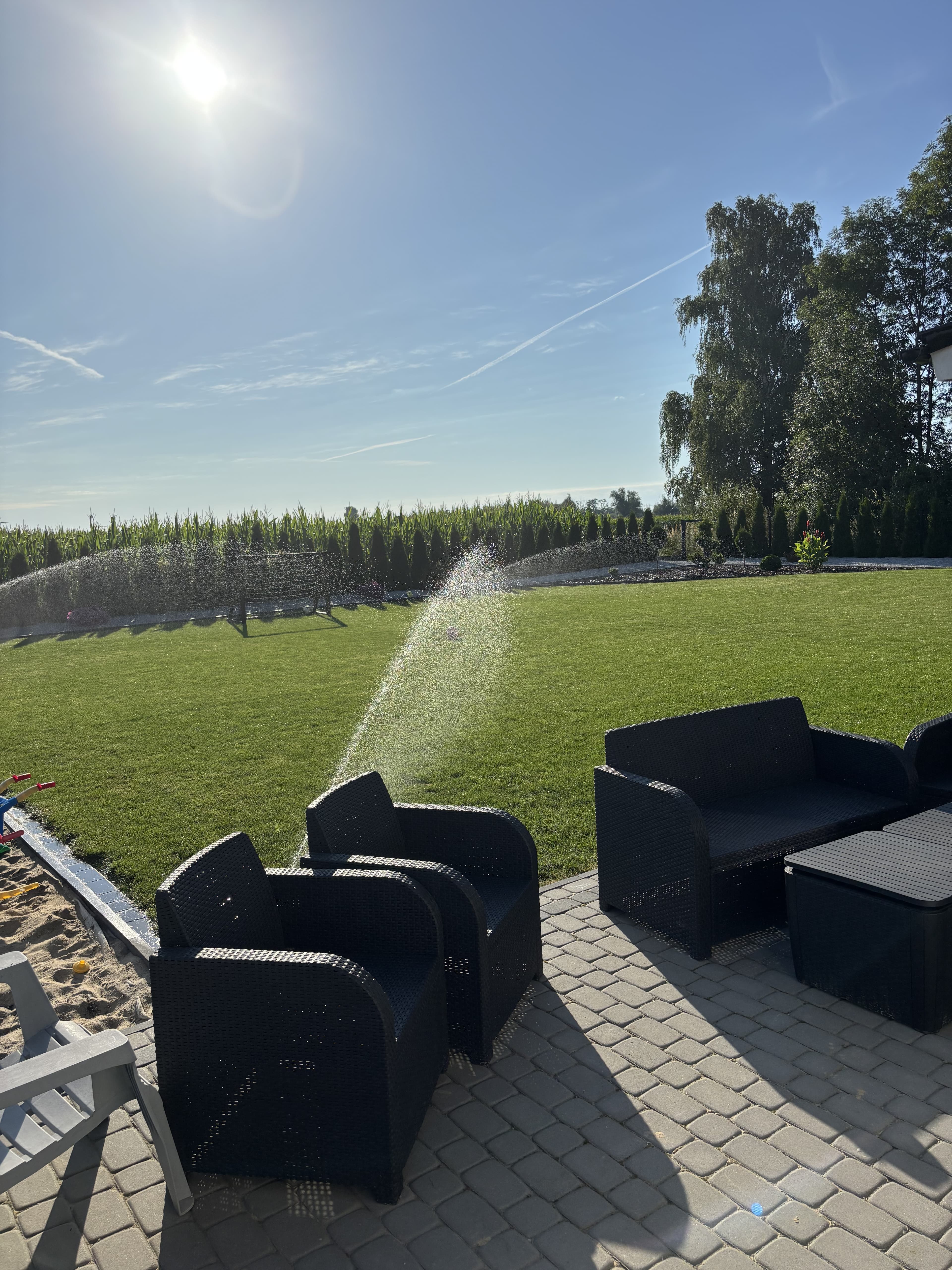 Mech OFF - skuteczny preparat na mech w trawniku i ogrodzie