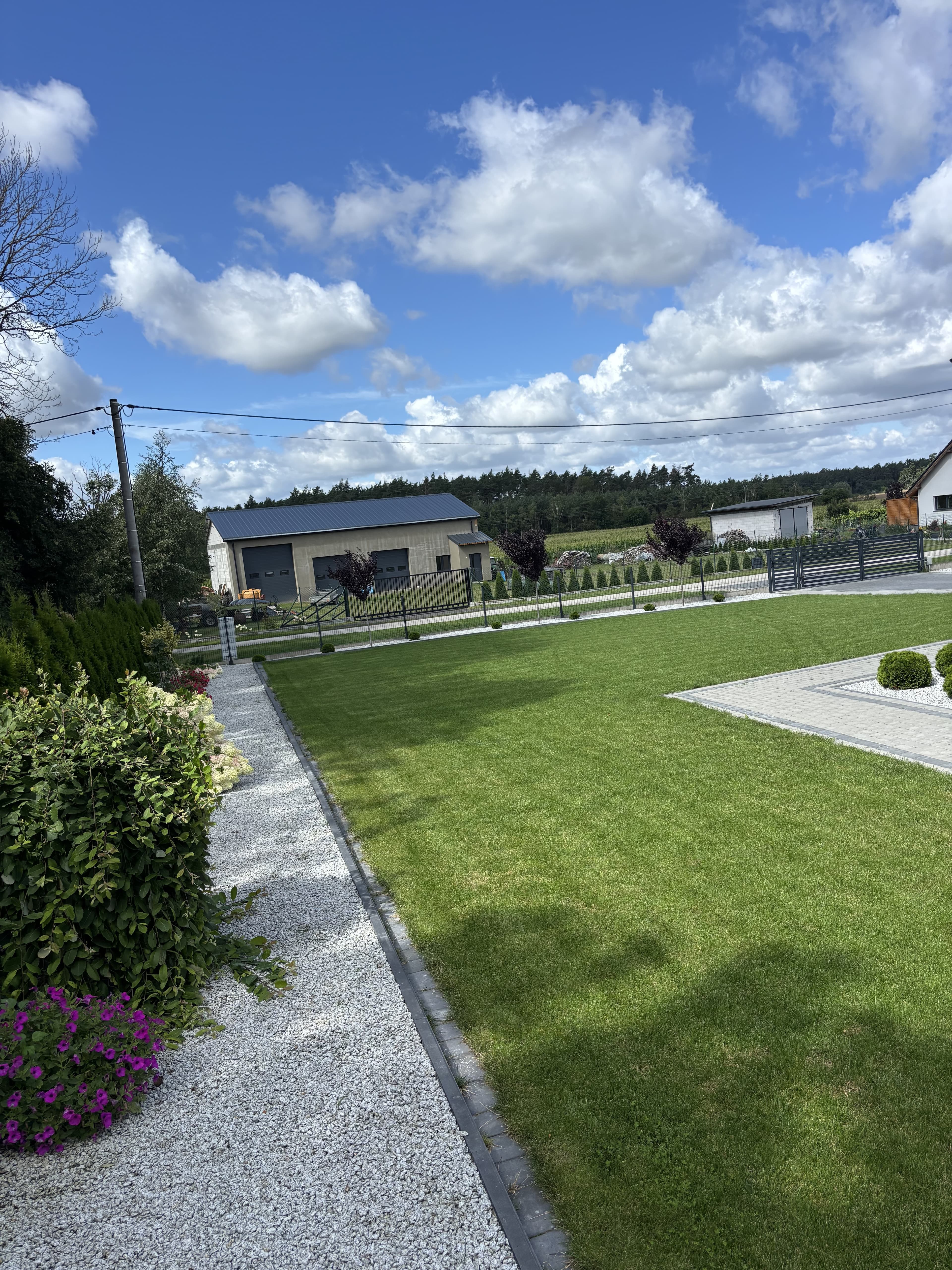 Mech OFF - skuteczny preparat na mech w trawniku i ogrodzie