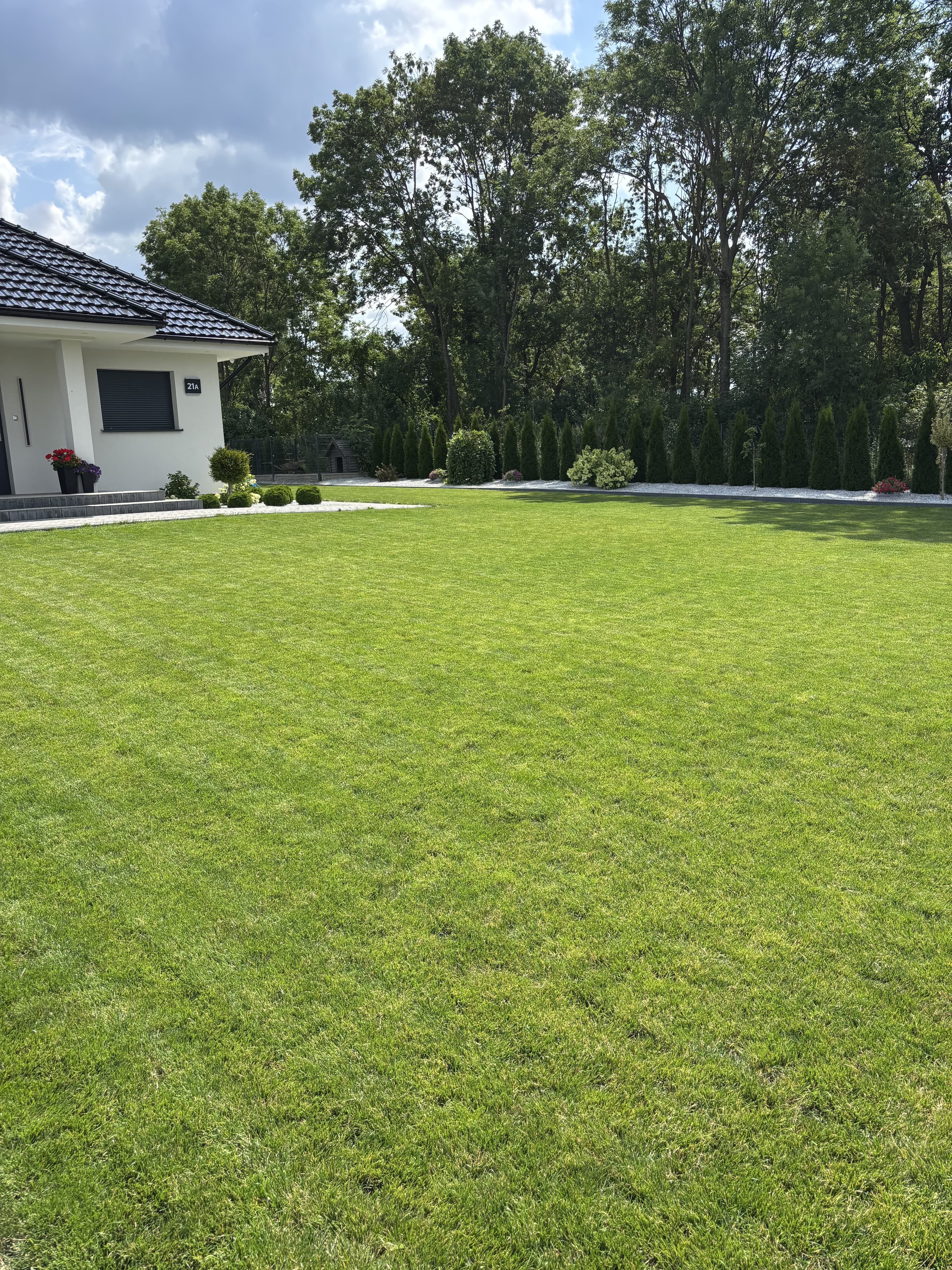 Mech OFF - skuteczny preparat na mech w trawniku i ogrodzie